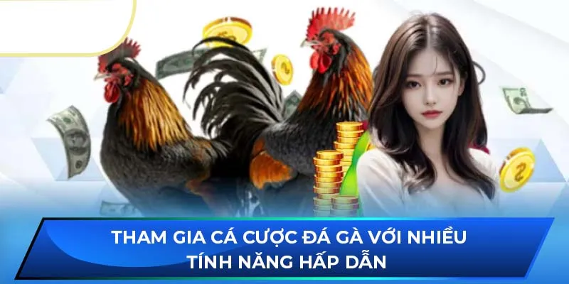 Tham gia cá cược đá gà với nhiều tính năng hấp dẫn 