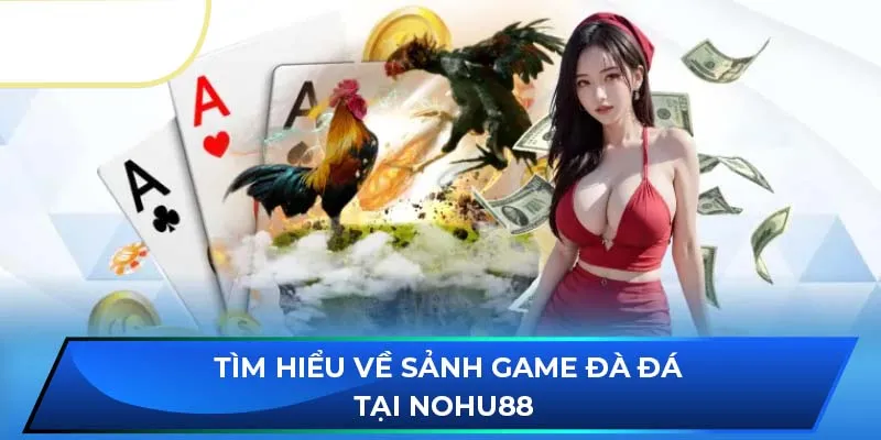 Tìm hiểu về sảnh game đà đá tại NOHU88 